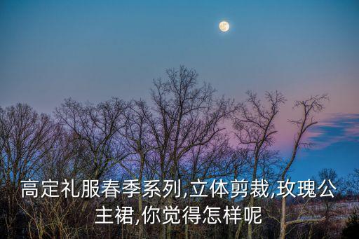 高定礼服春季系列,立体剪裁,玫瑰公主裙,你觉得怎样呢