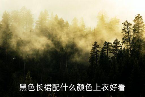 黑色长裙配什么颜色上衣好看