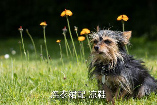 连衣裙配 凉鞋
