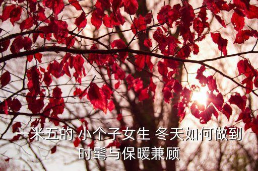 小个子内搭裙子冬天穿,155小个子穿搭夏季裙子