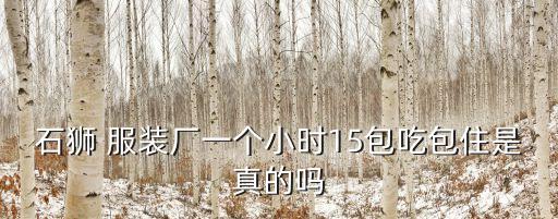 服装厂图片 真实,小型服装厂图片