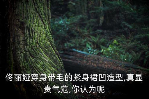 佟丽娅穿身带毛的紧身裙凹造型,真显贵气范,你认为呢