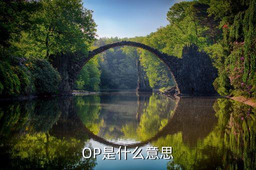 OP是什么意思