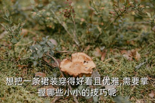 想把一条裙装穿得好看且优雅,需要掌握哪些小小的技巧呢