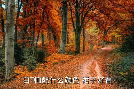 白T恤配什么颜色 裙子好看