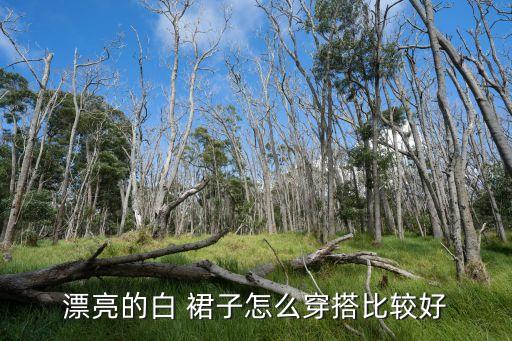 漂亮的白 裙子怎么穿搭比较好