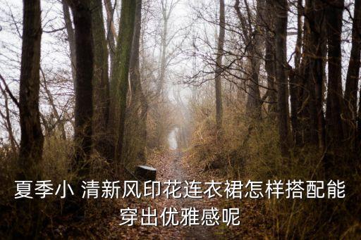 夏季小 清新风印花连衣裙怎样搭配能穿出优雅感呢