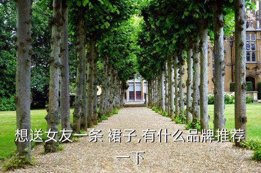想送女友一条 裙子,有什么品牌推荐一下