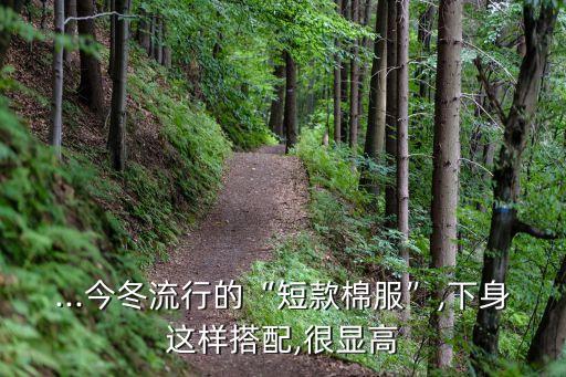 棉袄下面搭裙子好看,小棉袄怎么搭才好看
