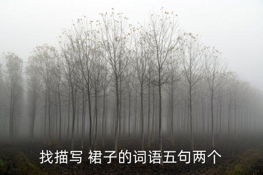 找描写 裙子的词语五句两个